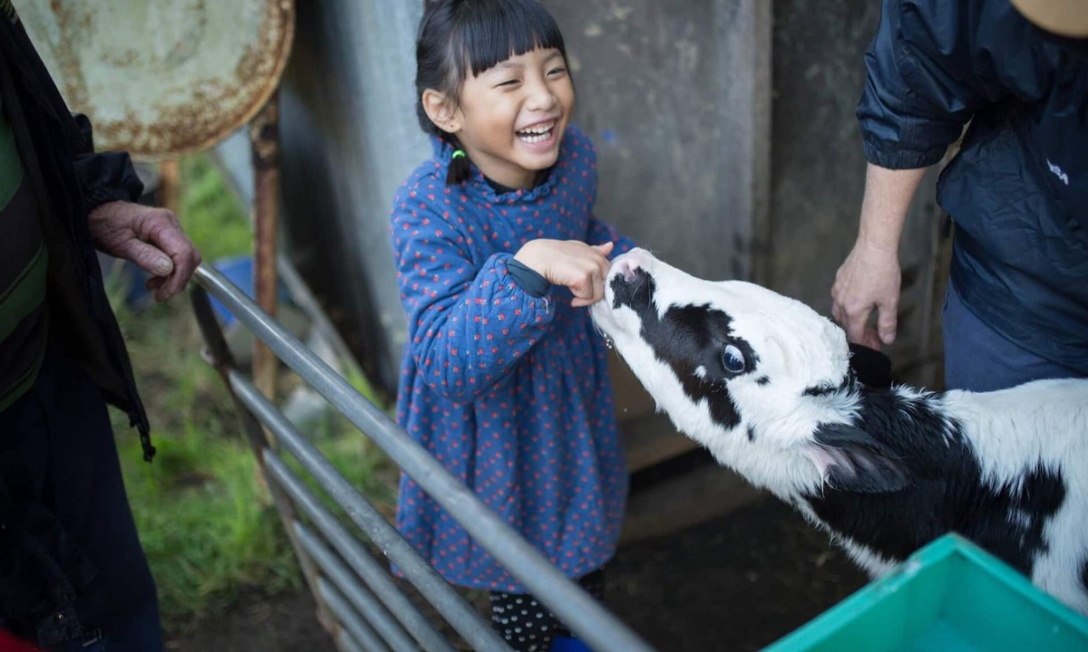 Scotts Creek House | Bellevue Farmstay - feed animals, ride tractors, near The 12 Apostles