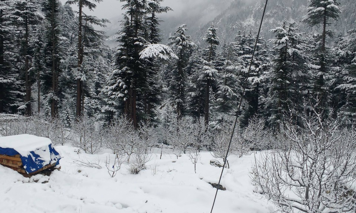 Sangla House | BHANDARI HOMESTAY - Traditional Kinnauri House