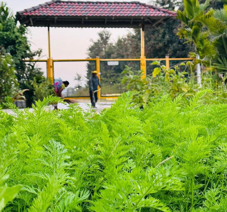 Kadur Apartment | Chikkamagalur Stay