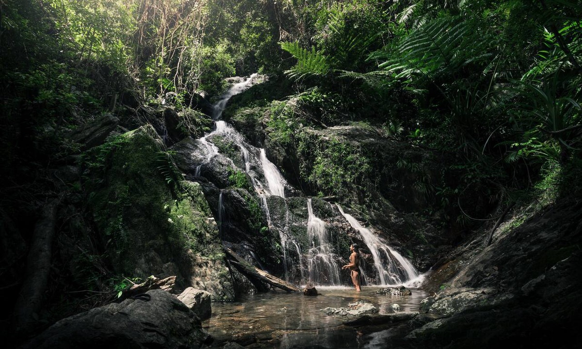 Lower Daintree House | Daintree Ecolodge