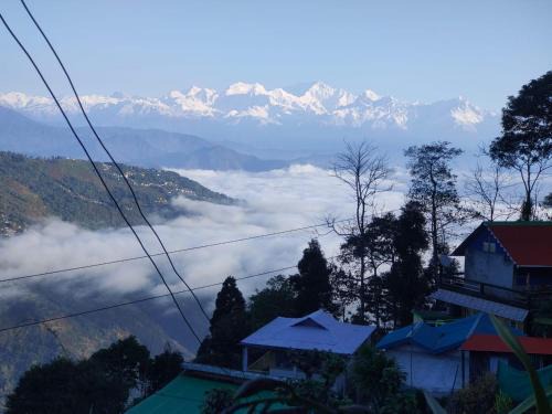 Lebong and Mineral Spring Tea Garden House | Dawaipani Kesang Homestay