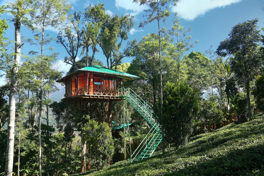 Udumbanchola Resort | Dream Catcher Plantation Resort