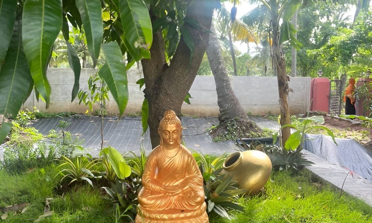 Chittur Bed & Breakfast | Essaar punnot Farmstay resort