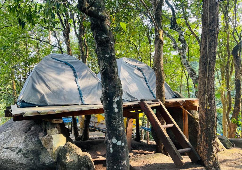 Muttil South Other | gladstone natural Camping