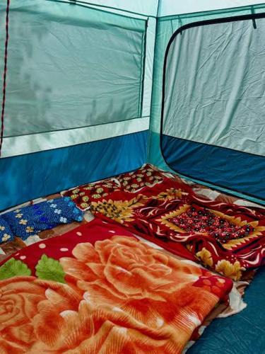 Gulmarg Other | Gurez valley camping site