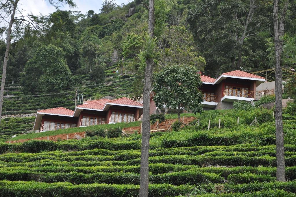 Kotagiri Resort | Hanging Huts Resorts