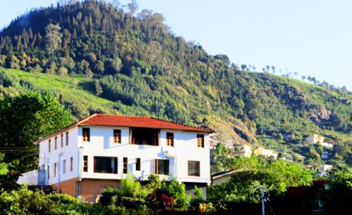 Attadi Hotel | Harmony Within Vipassana Meditation Hub