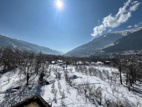 Aleo Hotel | Hotel NSB Manali