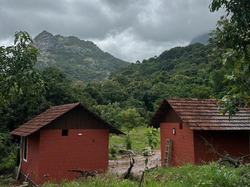 Muthalamada House | Jungle farmstay