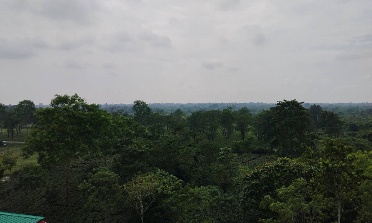 Alipurduar Hotel | Maa Greenery View