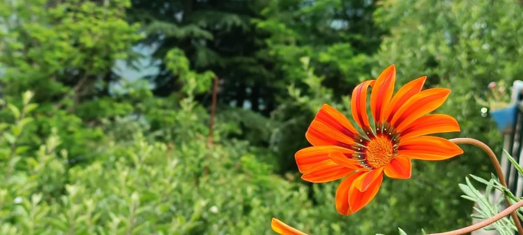Naggar House | Meemaw's MoonPi