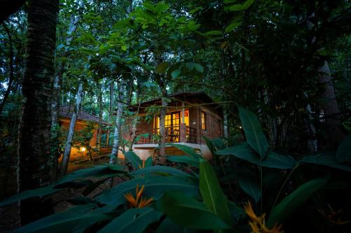 Sulthan Bathery Resort | Raindrops Resorts Wayanad
