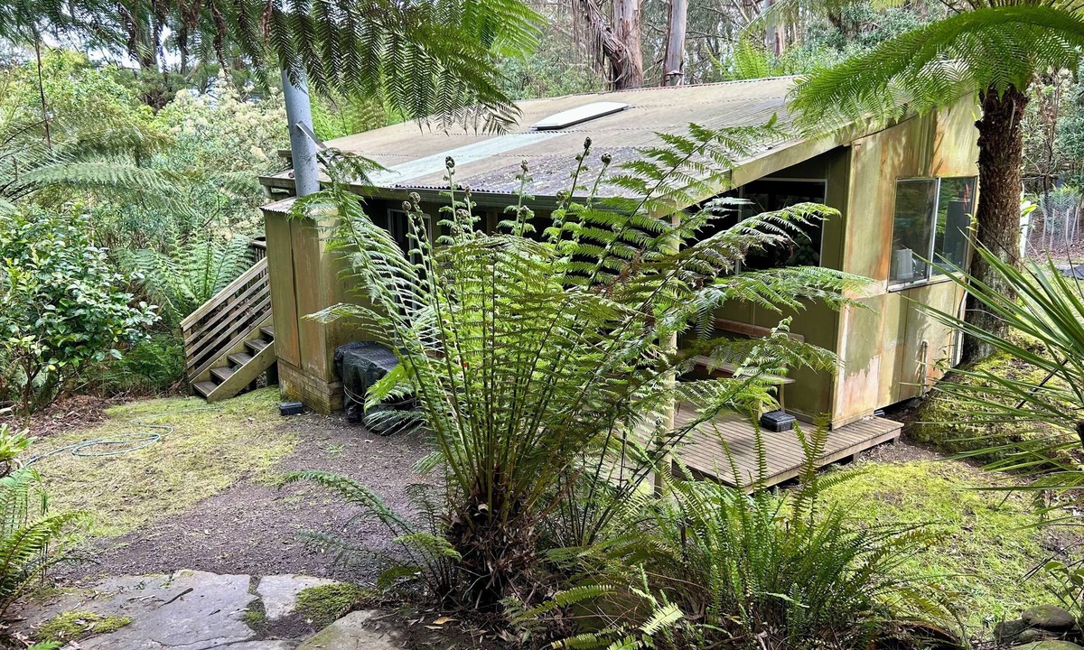 Skenes Creek North Cottage | Rainforest retreat 7 minutes from the beach and next to CapeOtway National Park
