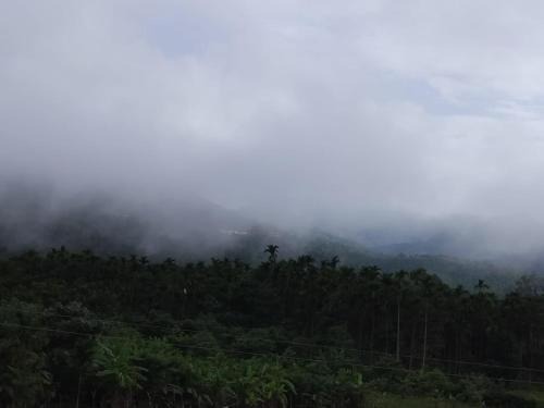 Samse House | S S Home stay