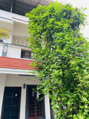 Thamaraparambu House | Sherly's Homestay