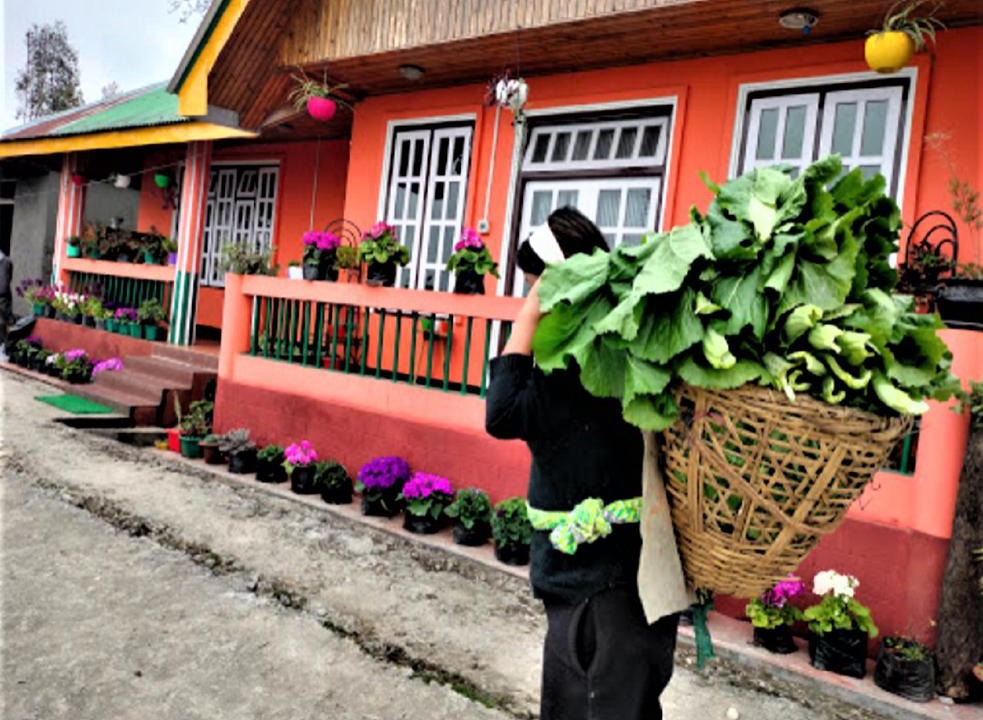 Namchi House | Temi Sarika Homestay