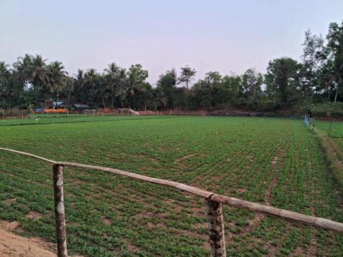 Hireguthi Other | Tent Life Gokarna