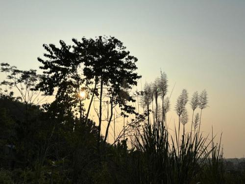 Samaguri Resort | Teplong The Paix, Kaziranga National Park
