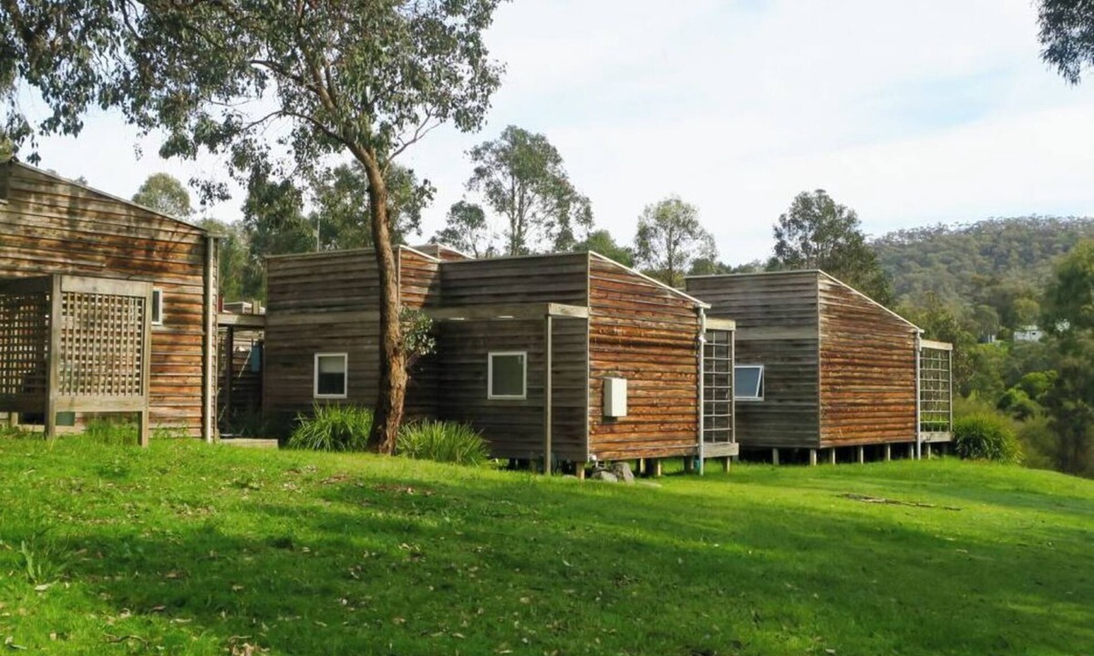 Eildon House | The Cedar house
