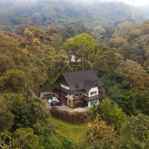 Devikolam Hotel | The Raarees Mist Resort, Munnar - Nested in Nature's Lap
