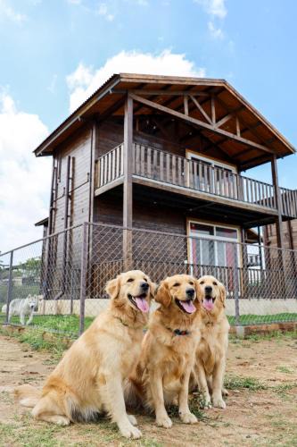 Anekal Resort | Therpup Resort
