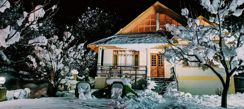 Manali Villa | Wooden Penthouse with Mountain view