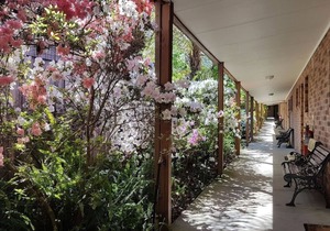Eildon Parkview Motor Inn. Room 5 in Eildon