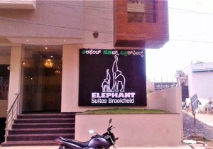 Elephant Suites Brookefield # 23