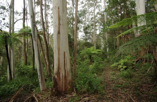 Gembrook House | 2 Night Accommodation Package