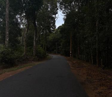 Tirthalli House | Akira-Green Escape Peaceful Nature Stay