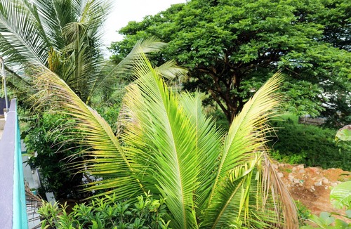 Surathkal House | Aranya Ocean Breeze Your Comfort Zone Sea Shore