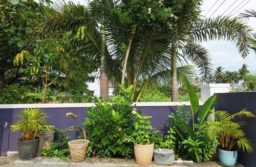 Surathkal House | Aranya Ocean Breeze Your Comfort Zone Sea Shore