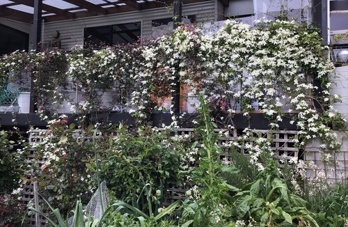 Huonville House | Art House.Paintings in hallway, bathroom, toilet, living areas and bedrooms.