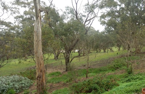 Spring Gully Bed & Breakfast | Beautiful setting, on 100 acres. Sleeps 10 people. Beautiful views.