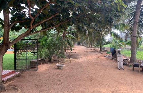 Mandavi House | Blondie`s farm