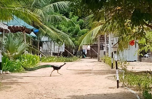 Ramanathapuram Resort | Cabana Coral Reef