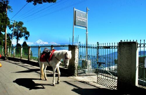 Darjeeling House | Central Gleneagles Heritage Resort Former Bungalow of Ex-TATA Chairman Russi Mody The Mall Road Darjeeling