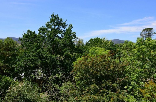 Kangaroo Valley House | Cloudsong Chalet 3 - Close to the village centre!
