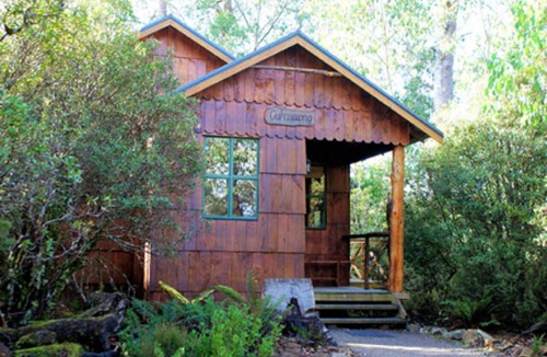 Cradle Mountain Apartment | Cradle Highlander
