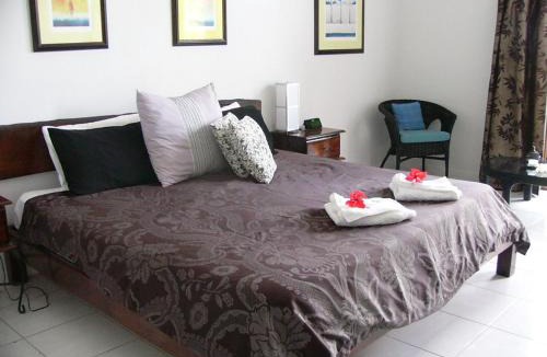 Lower Daintree Bed & Breakfast | Daintree Wild Bed & Breakfast