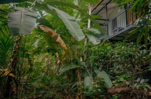 Sulthan Bathery Villa | deep villa