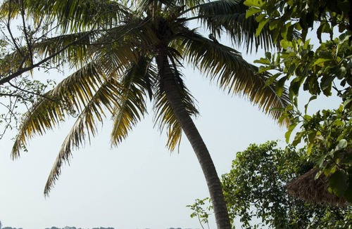 Muhamma Resort | Deshadan Backwater Resort
