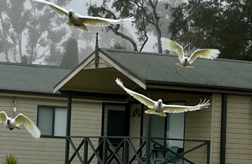 Sutton Resort | Eaglehawk Park Canberra