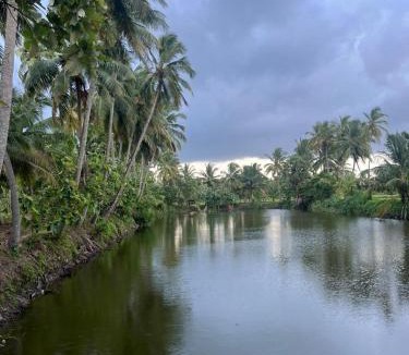 Chittur House | Essaar Punnot Farmstay Resort