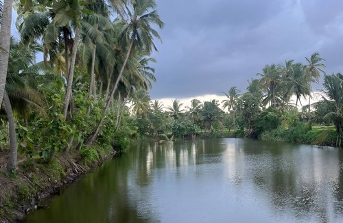 Chittur Bed & Breakfast | Essaar punnot Farmstay resort