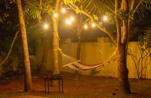 Aryad South Bed & Breakfast | Fool's Paradise Homestay