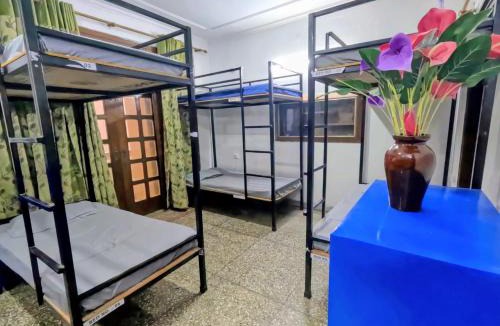 Sainik Farm Hostel | Gavari India's Delhi Hostel