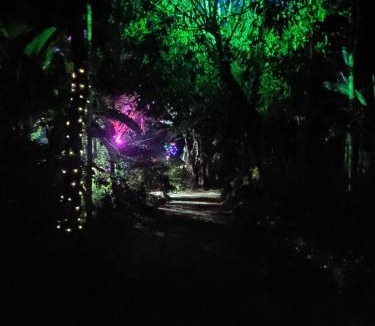Sulthan Bathery House | Golden Peak Estate Homestay