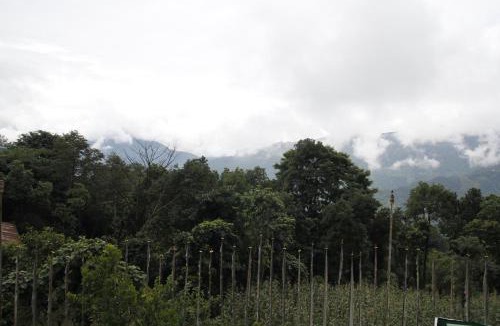 Namchi House | Gomethang Homestay