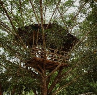 Kalpetta Other | Greenex farm Resort